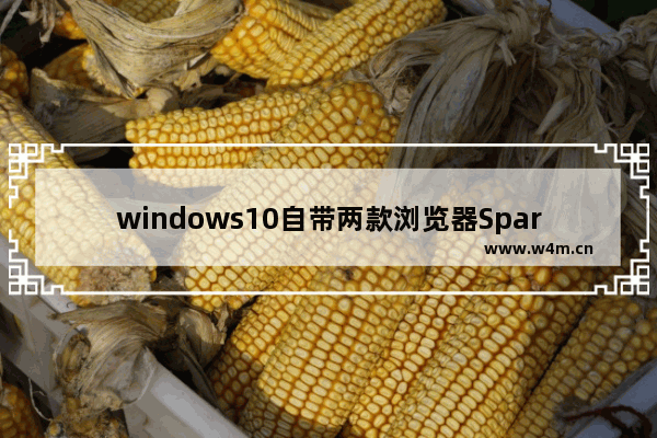 windows10自带两款浏览器Spartan浏览器同IE共存吗？解决方法说明