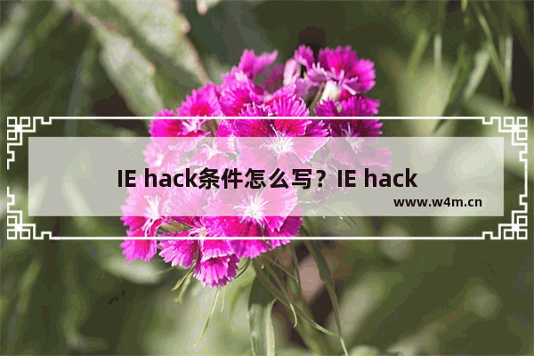 IE hack条件怎么写？IE hack条件写法分享