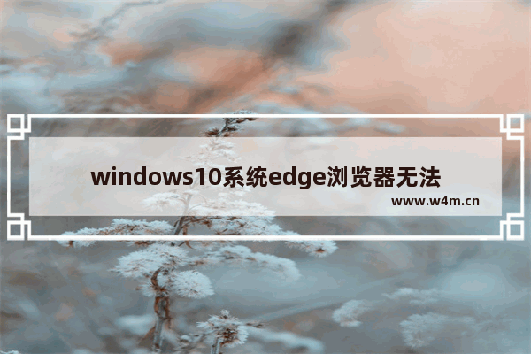 windows10系统edge浏览器无法打开网页是什么问题？解决方法说明