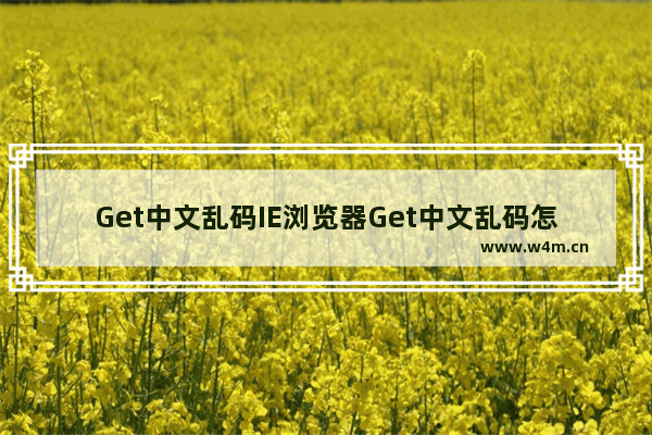 Get中文乱码IE浏览器Get中文乱码怎么解决？解决乱码的方案分享