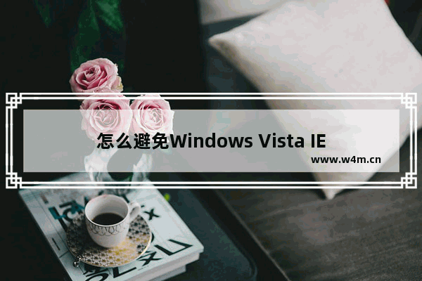 怎么避免Windows Vista IE浏览器崩溃？解决的方法说明