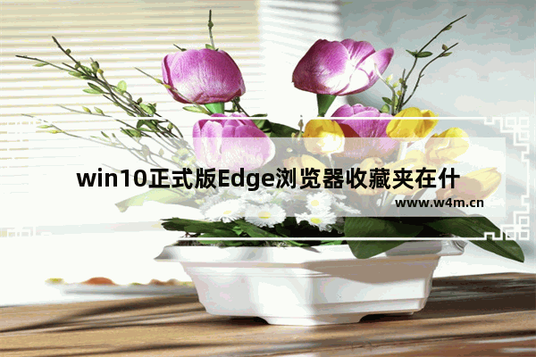 win10正式版Edge浏览器收藏夹在什么位置？收藏夹具体位置说明