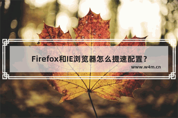 Firefox和IE浏览器怎么提速配置？提速配置的方法介绍