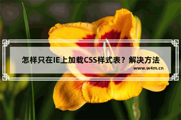 怎样只在IE上加载CSS样式表？解决方法说明