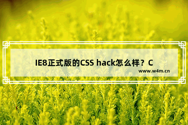 IE8正式版的CSS hack怎么样？CSS hack详情说明