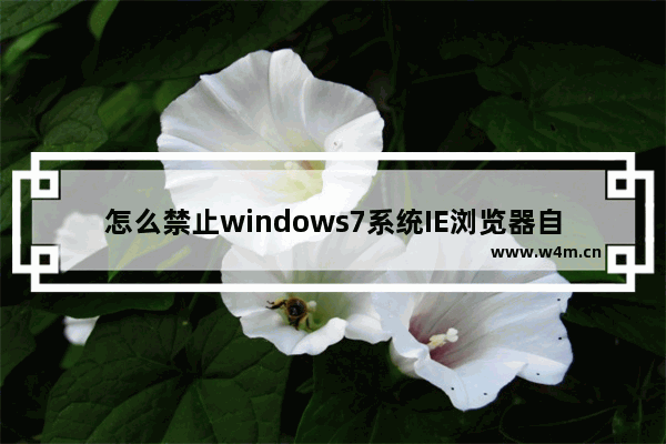 怎么禁止windows7系统IE浏览器自动启动程序？禁止技巧分享