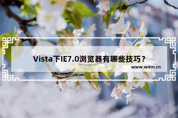 Vista下IE7.0浏览器有哪些技巧？9个实用技巧分享