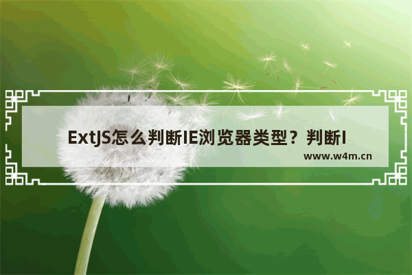 ExtJS怎么判断IE浏览器类型？判断IE浏览器类型的方法分享