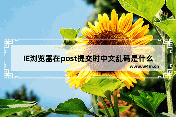 IE浏览器在post提交时中文乱码是什么原因？解决乱码的方法说明