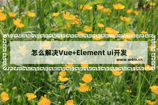 怎么解决Vue+Element ui开发中碰到的IE问题？解决方法介绍