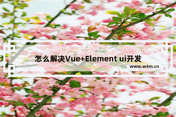 怎么解决Vue+Element ui开发中碰到的IE问题？解决方法说明