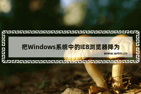 把Windows系统中的IE8浏览器降为IE6有哪些方法？降级方法分享