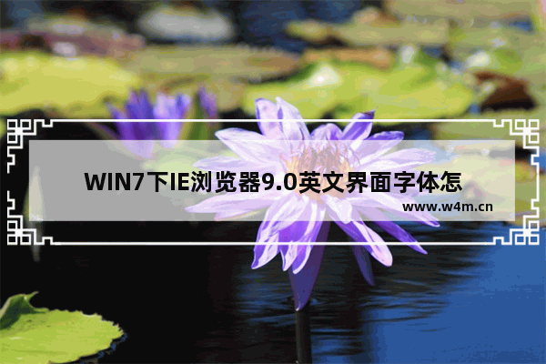 WIN7下IE浏览器9.0英文界面字体怎么更改成中文字体？更改方法分享