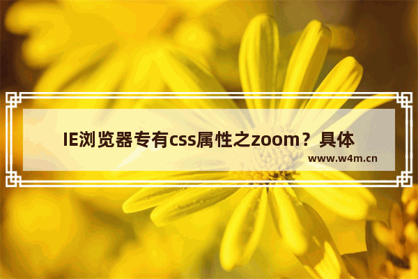 IE浏览器专有css属性之zoom？具体详情介绍