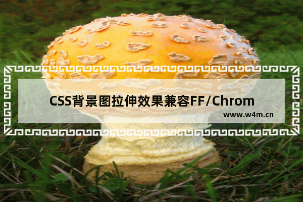 CSS背景图拉伸效果兼容FF/Chrome/IE等主流浏览器吗？具体详情分享