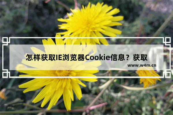 怎样获取IE浏览器Cookie信息？获取方法介绍