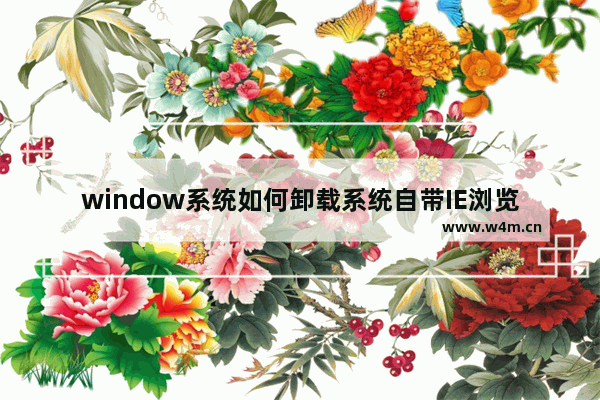 window系统如何卸载系统自带IE浏览器？卸载自带IE浏览器方法介绍