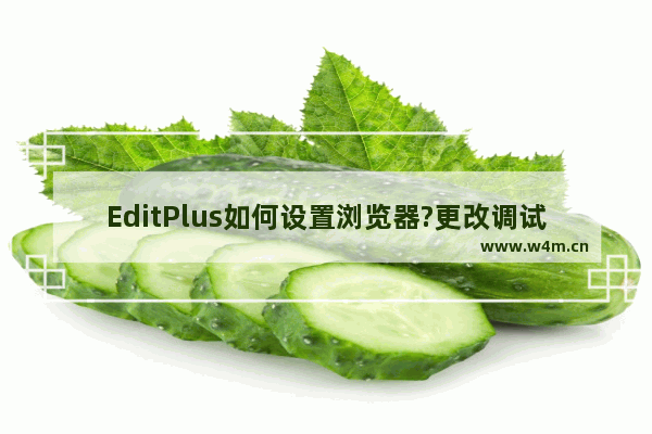 EditPlus如何设置浏览器?更改调试默认IE浏览器方法介绍