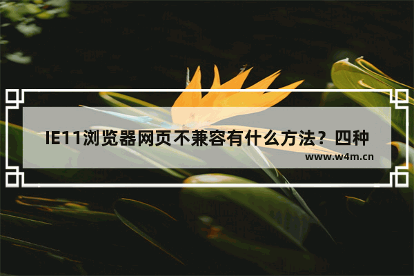 IE11浏览器网页不兼容有什么方法？四种解决方法介绍