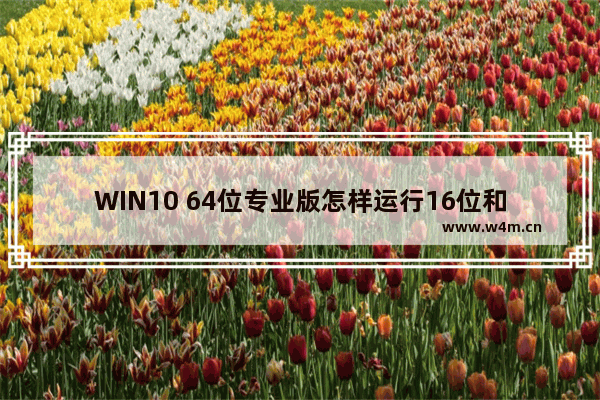 WIN10 64位专业版怎样运行16位和32位程序？运行16位和32位程序方法介绍