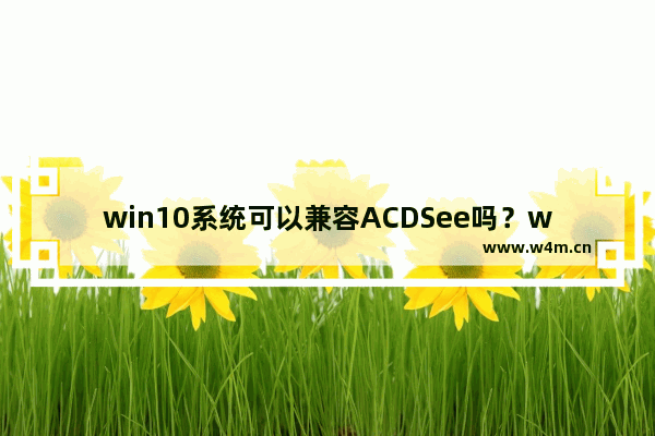 win10系统可以兼容ACDSee吗？win10系统下哪些ACDSee版本可以使用？