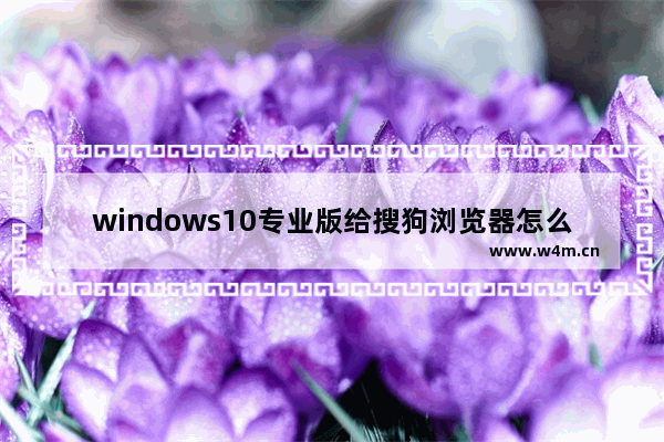 windows10专业版给搜狗浏览器怎么加速?加速技巧分享