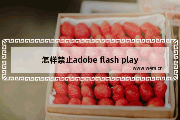 怎样禁止adobe flash player for ie更新提示？解决的方法介绍