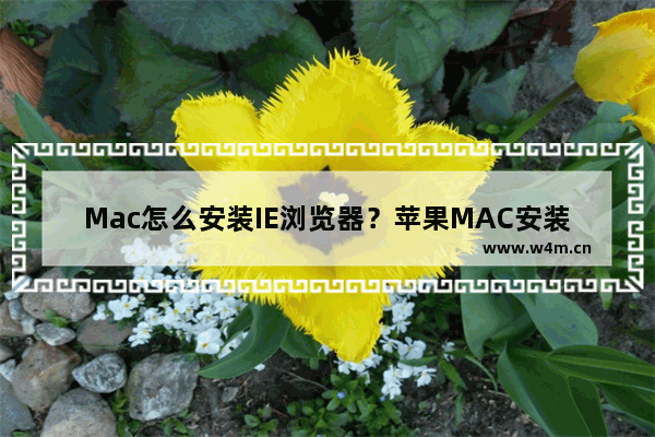 Mac怎么安装IE浏览器？苹果MAC安装IE浏览器教程分享