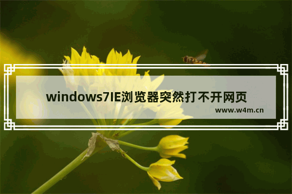 windows7IE浏览器突然打不开网页是什么原因？解决的方法分享