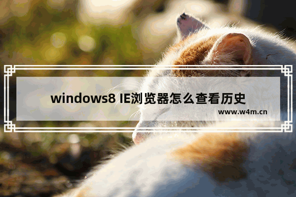 windows8 IE浏览器怎么查看历史记录？有哪些方法可以查看？