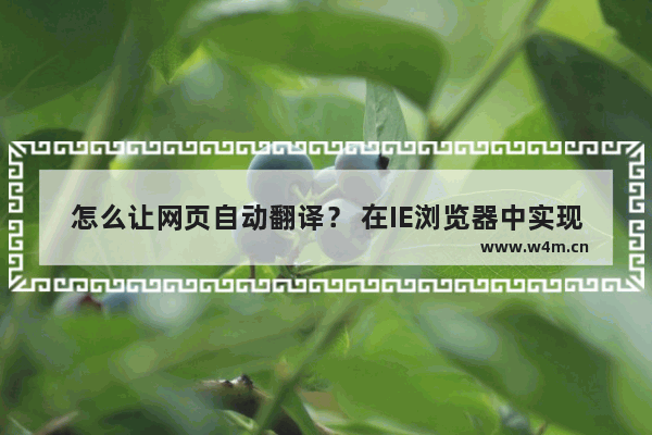 怎么让网页自动翻译？ 在IE浏览器中实现网页自动翻译的方法