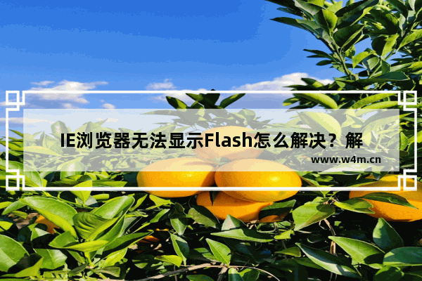 IE浏览器无法显示Flash怎么解决？解决IE浏览器无法显示Flash方法分享