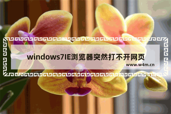 windows7IE浏览器突然打不开网页是什么原因？怎么解决？