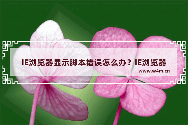 IE浏览器显示脚本错误怎么办？IE浏览器脚本错误解决方法图文教程分享