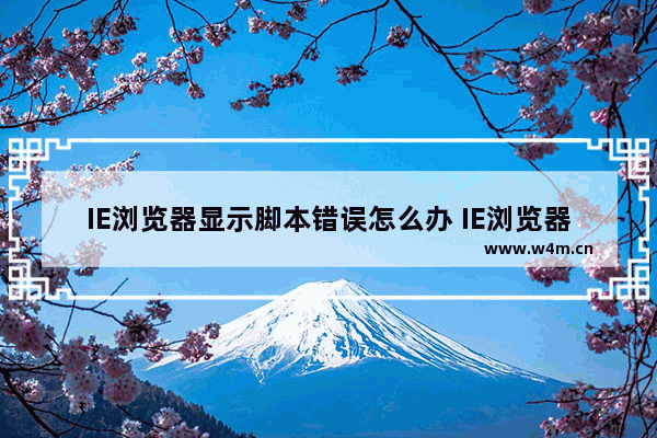 IE浏览器显示脚本错误怎么办 IE浏览器脚本错误解决方法图文教程