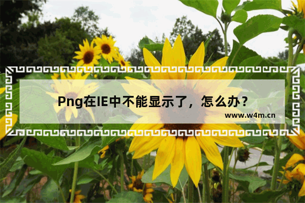 Png在IE中不能显示了，怎么办？