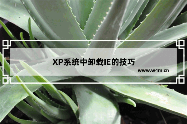 XP系统中卸载IE的技巧