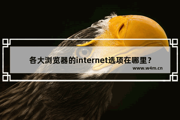 各大浏览器的internet选项在哪里？(IE、chrome浏览器等)