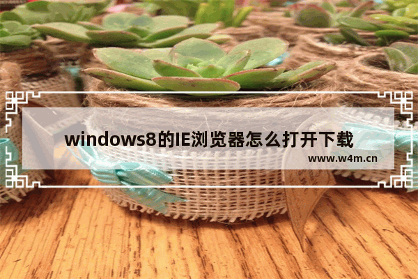 windows8的IE浏览器怎么打开下载项？有快捷键吗？