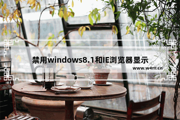 禁用windows8.1和IE浏览器显示密码功能的方法介绍