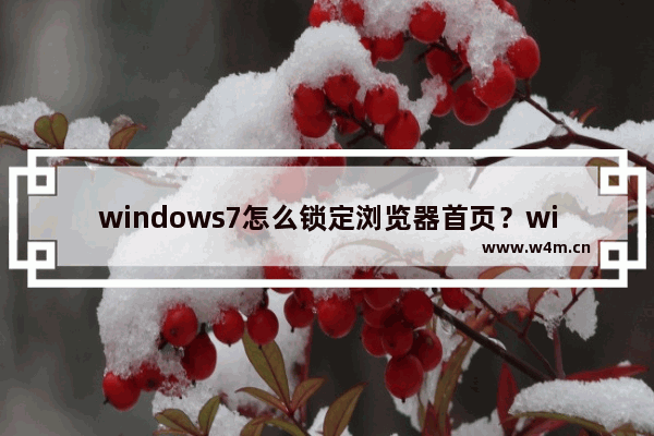 windows7怎么锁定浏览器首页？windows7锁定浏览器首页的方法介绍