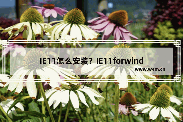 IE11怎么安装？IE11forwindows7安装教程介绍