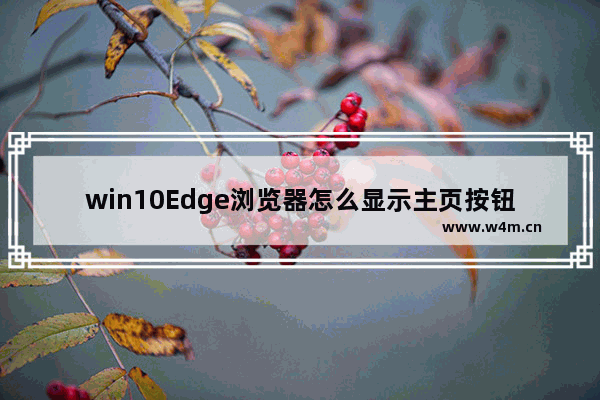 win10Edge浏览器怎么显示主页按钮?win10Edge浏览器显示主页按钮介绍