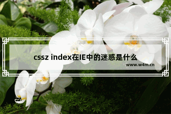 cssz index在IE中的迷惑是什么?cssz index在IE中的迷惑说明