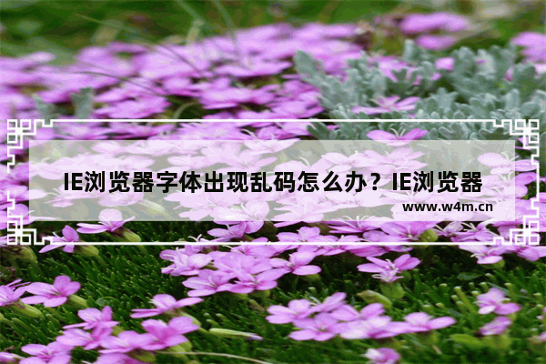 IE浏览器字体出现乱码怎么办？IE浏览器字体出现乱码的解决办法介绍