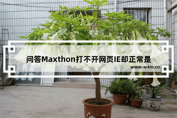 问答Maxthon打不开网页IE却正常是什么原因？