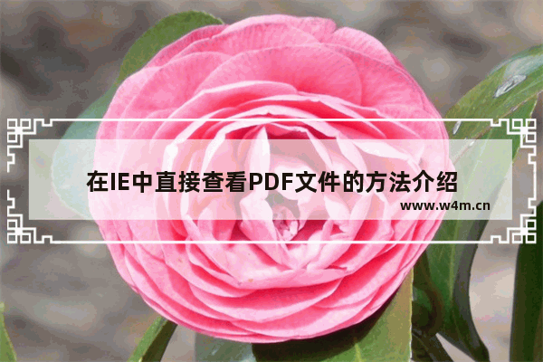 在IE中直接查看PDF文件的方法介绍