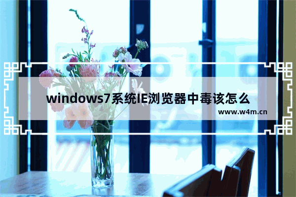 windows7系统IE浏览器中毒该怎么解决?解决的办法介绍