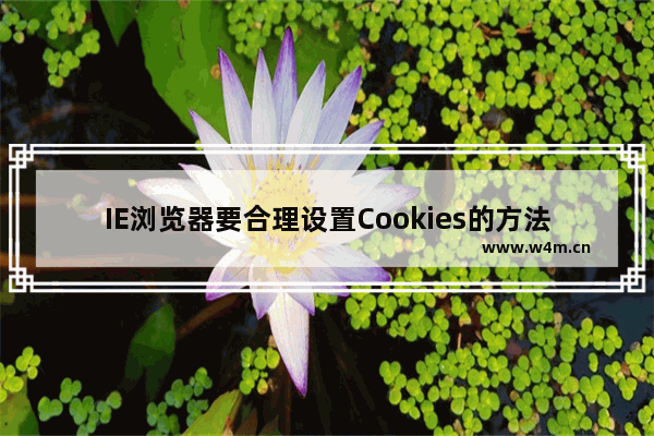 IE浏览器要合理设置Cookies的方法介绍