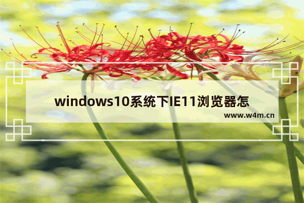 windows10系统下IE11浏览器怎么重置？ Windows10重置IE11浏览器图文教程介绍